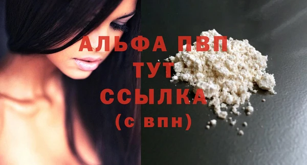 молекула духа Гусиноозёрск