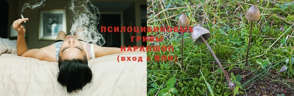 молекула духа Гусиноозёрск