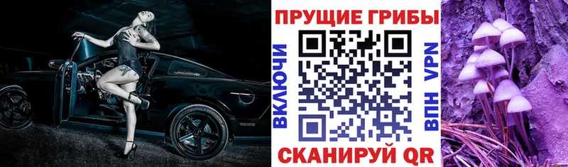 Купить где  Нерчинск  Галлюциногенные грибы GOLDEN TEACHER 